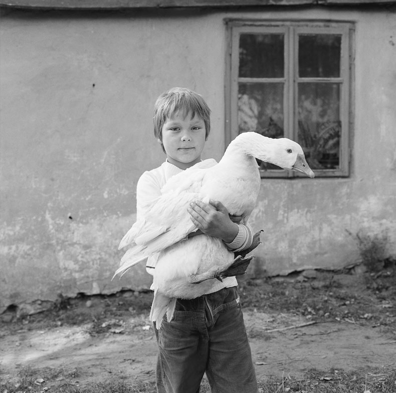 chris barry australian artist