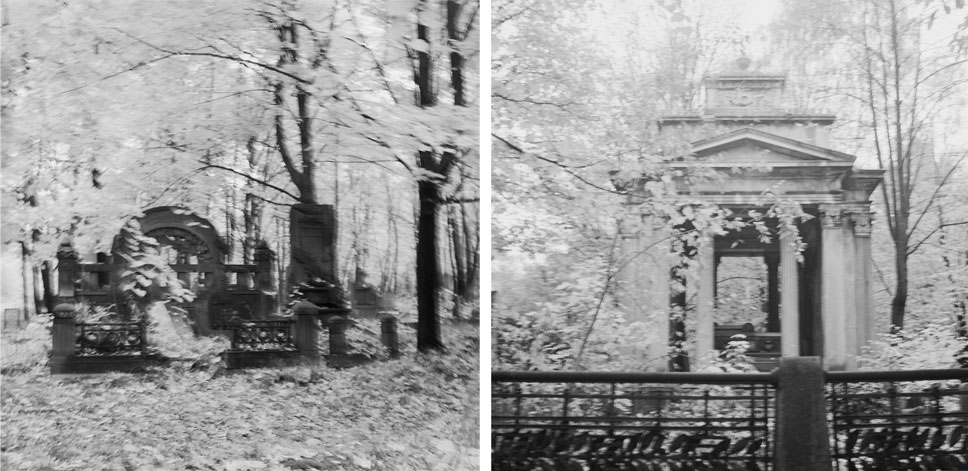 chris barry australian artist